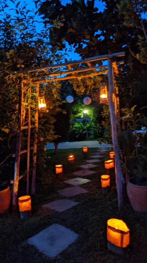קסנה The Residence Villa Chobe מראה חיצוני תמונה