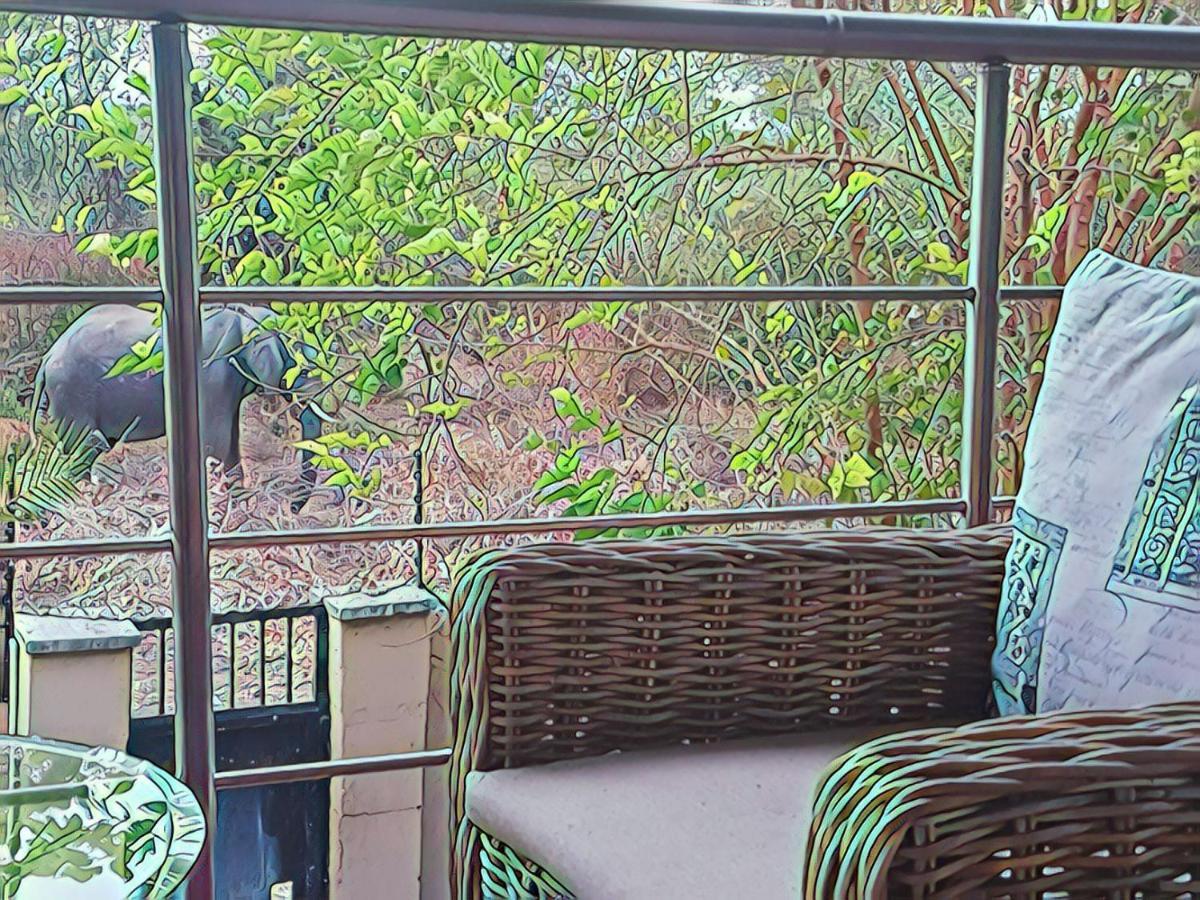 קסנה The Residence Villa Chobe מראה חיצוני תמונה